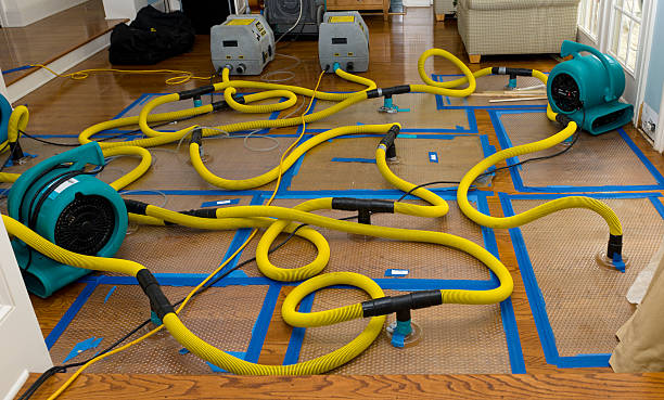 Professional Water Damage Repair technician working in Hillsdale, MI