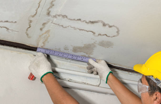 Affordable Water Damage Repair solutions in Hillsdale, MI